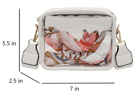 Clear Crossbody Bag, in multiple colors